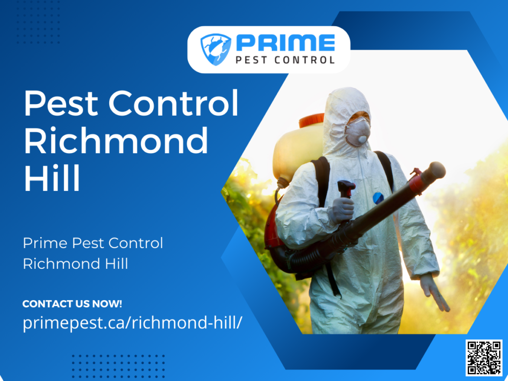 Pest Removal Services In Richmond, ON Prime Pest Control